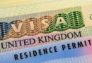 8 most employable courses to study in the UK in 2026