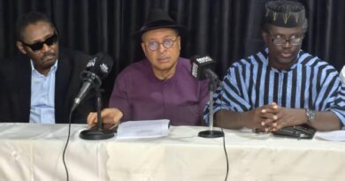 2027: ‘Nigerians are hungry, angry’ – Utomi urges massive voter turnout