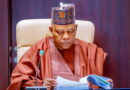 Nigeria’s economy stable, NEC says, urges no policy reversals ahead of 2027