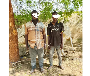 Bribe fails as Bauchi police arrest two over cattle rustling