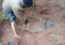 Troops exhume remains of slain Imo community leader from shallow grave
