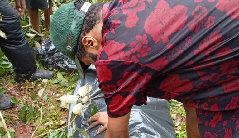 Troops exhume remains of community leader allegedly murdered in Imo