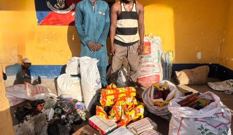 Troops arrest alleged terrorist collaborators in Borno, Yobe