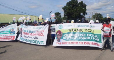Arewa Youths laud Tinubu over creation of 10 division in Taraba