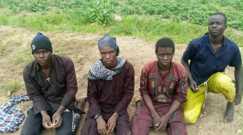 150 terrorists surrender as military pressure mounts in North-East