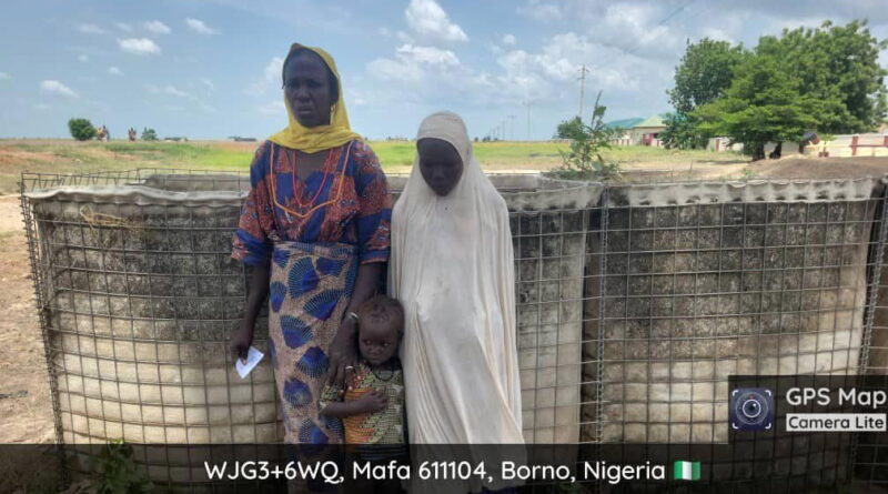 Terrorist family member, two children surrender to troops in Borno