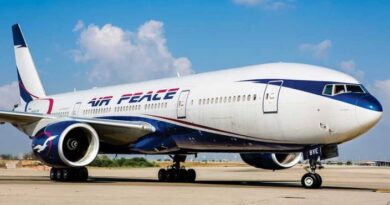 Outrage grows as stakeholders raise airport security, safety concerns over picketing of Air Peace