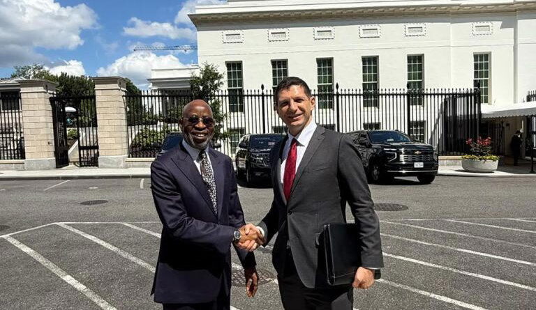 Solid Minerals: Nigeria, US to deepen strategic partnership, investment