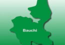 Bauchi