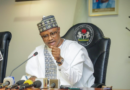 Governor Uba Sani