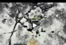 NAF air strikes kill nine ISWAP fighters, commander in Borno