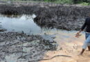 Resumption of Ogoni oil exploration: Terms interested operators must meet — Host communities