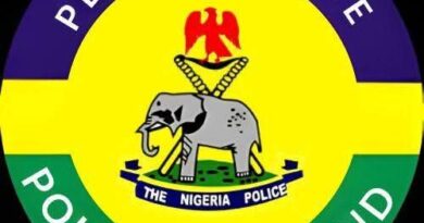 Police recover GPMG, AK-47, other weapons from suspected bandits in Plateau