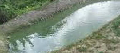 18-year-old dies after falling into pond in Kano