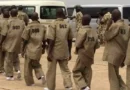 repentant Boko Haram