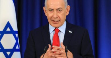 Saudi Arabia interrogating flydubai co-pilot after stabbing incident – Netanyahu