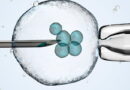 Woman gives birth from embryo frozen for more than 22 years