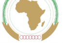 African youth as the 7th region of African Union