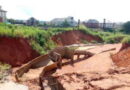 Intersociety raises alarm over Anambra gully erosion
