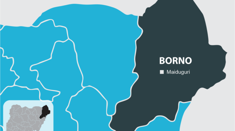 Borno settles N622m NECO fees for 27,599 students – Commissioner
