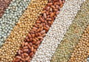 EU Ban: NAQS discloses effort to make Nigerian beans acceptable internationally