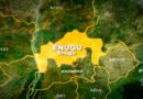 NDC chairman alleges irregularities in Enugu LGs poll