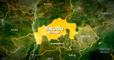 NDC chairman alleges irregularities in Enugu LGs poll