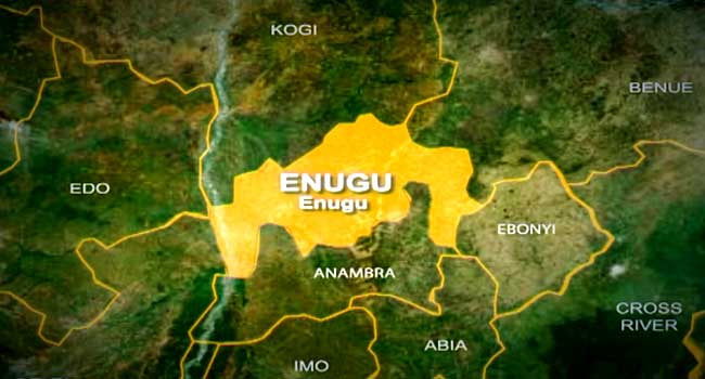 NDC chairman alleges irregularities in Enugu LGs poll