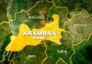 Anambra auto makers hail FG local vehicle policy