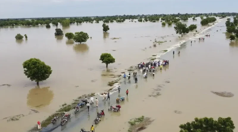 ‘High flood to hit Delta, Imo, Cross River, 12 other states in 7 days’