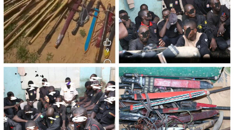 Police nab 47 ‘security operatives’ at Bauchi polling units