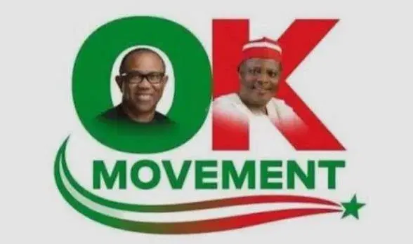 Presidential Campaign Council: ‘We don’t need your validation’ – OK Movement tells NDC