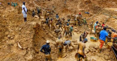 Mad rush into deadly pits for gold: 374 illegal mining sites in 17 states uncovered