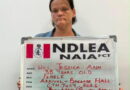South African Woman jailed 25 years for trafficking heroin into Nigeria