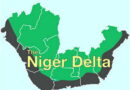 Niger Delta development beyond summits