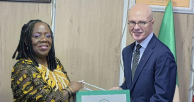 Nigeria, Canada to set up joint team over visa delays
