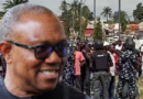 Obi attack backlash: Nothing must happen to our son– Igbo leaders, others