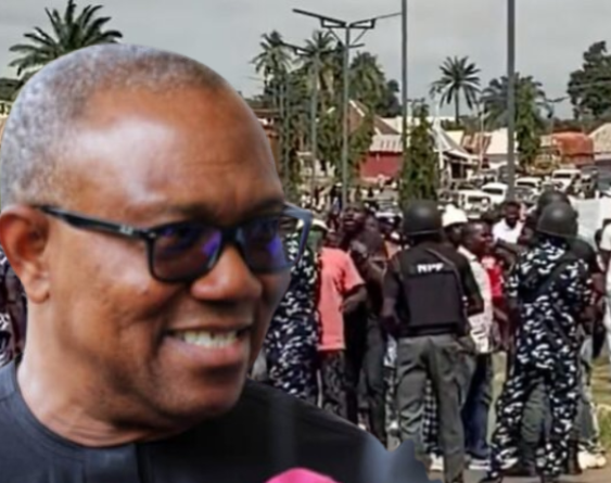 Obi attack backlash: Nothing must happen to our son– Igbo leaders, others