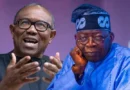 2027: ‘Tinubu has record; Obi only representing South-East’ — Prof Otubanjo