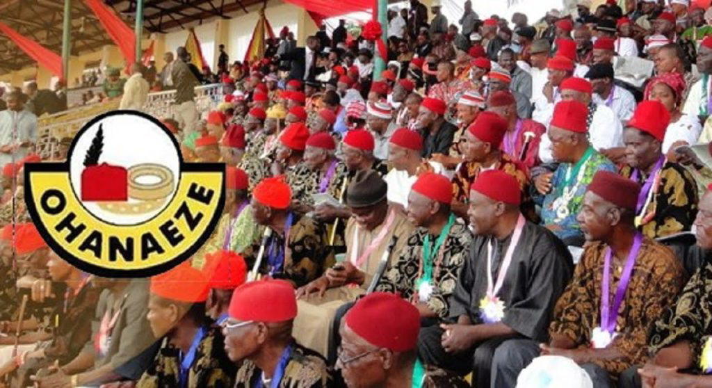 Igbo Day: Ohanaeze unveils charter for unity