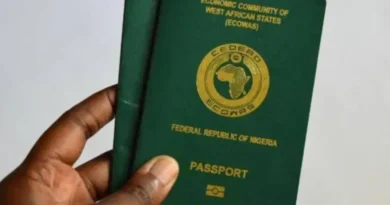 NIS releases appointment link for UK special passport intervention