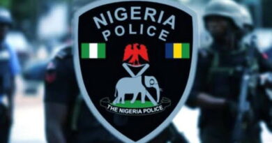 FCT Police hunt driver after vehicle crashes into Byazhin gas plant, sparks fire