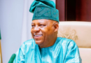 ‘Your journey through public service has been distinguished by courage’ — Akpabio to Shettima