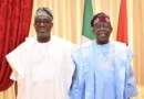APC coalition worked because Tinubu managed his hurt - Sowunmi