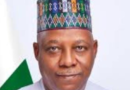 VP 60: Northern senators hail Shettima’s service, resilience