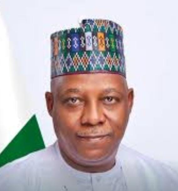VP 60: Northern senators hail Shettima’s service, resilience