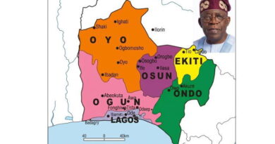 South-West 2027: Can opposition parties breach Tinubu’s political fortress?