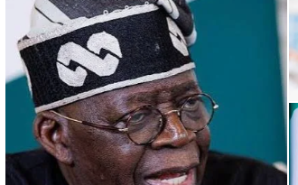 Tinubu seeks African alliance to protect mineral wealth