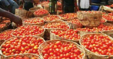 Agric sector’s stakeholders disagree over food inflation