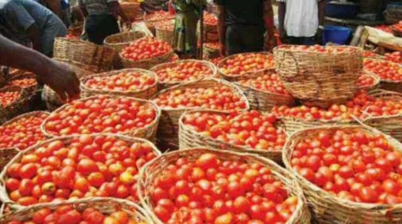 Agric sector’s stakeholders disagree over food inflation